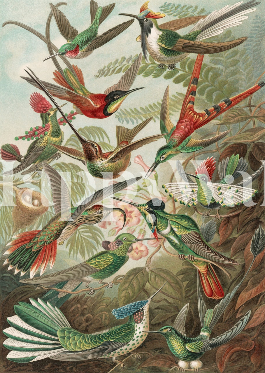 Colorful hummingbirds perched among greenery wallpaper