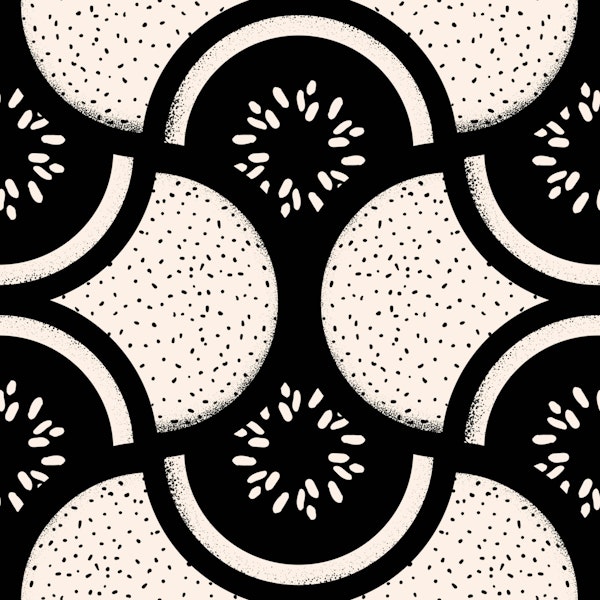 Art Deco Black and White Abstraction