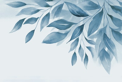 Mural