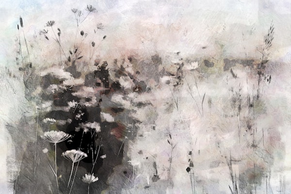 Whispering Wilds Art