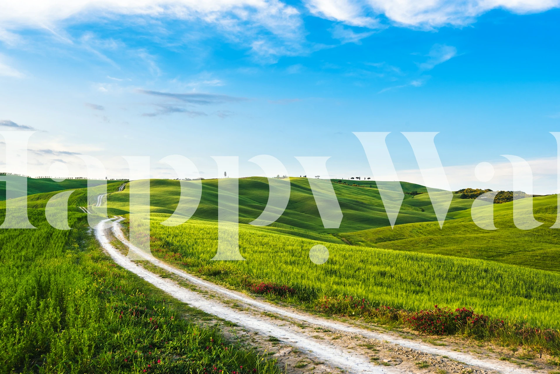 Sunny Rural Tuscany behang in een kamer