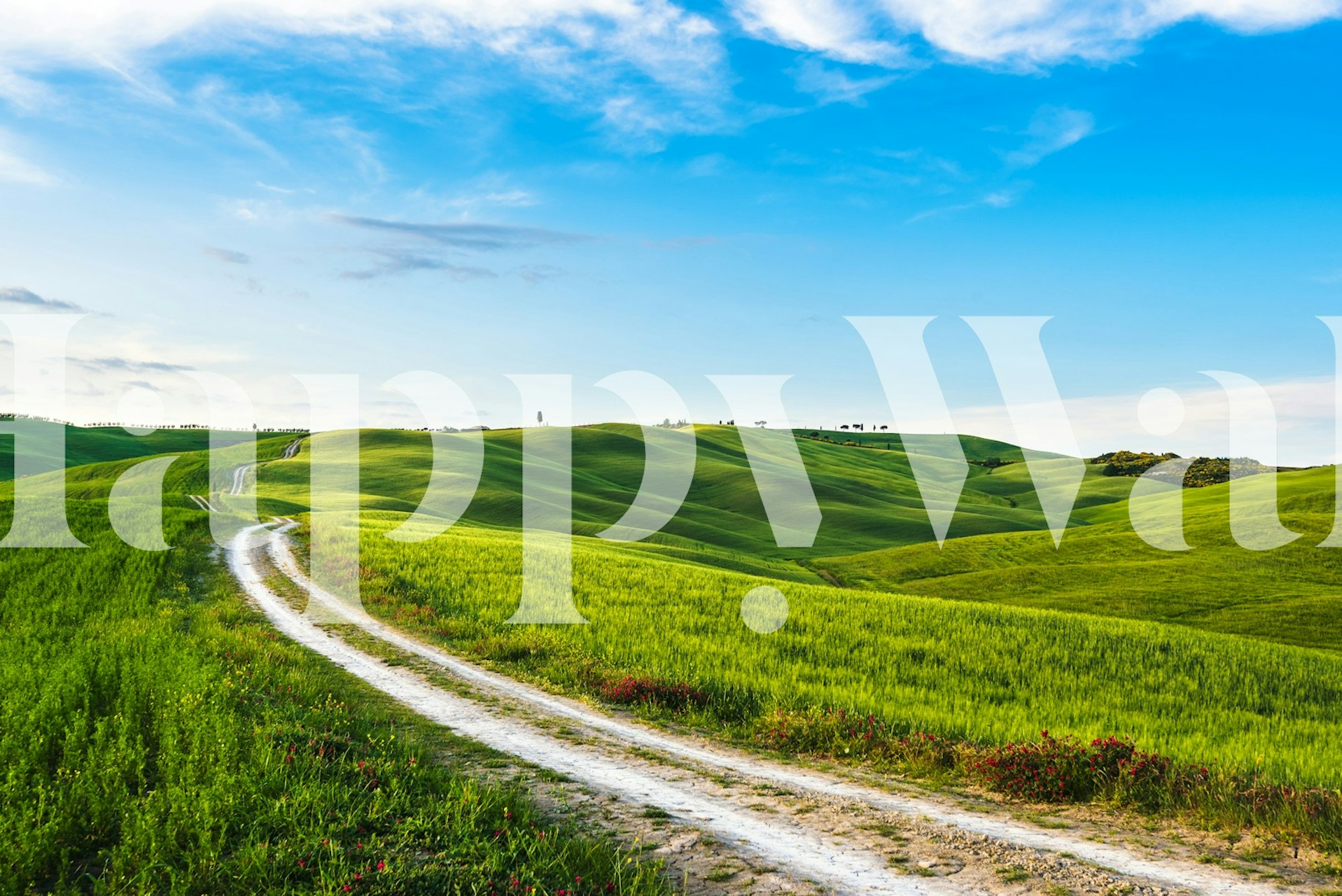 Rolling green hills under a blue sky wallpaper