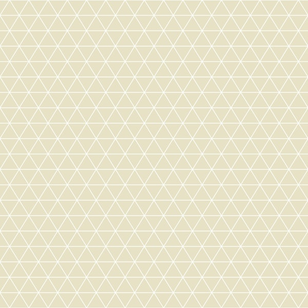 Triangle grid symmetry