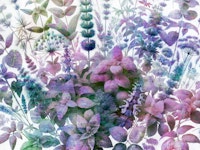 Charming Herb Spectacle wallpaper