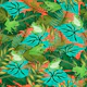 Hiding Tropical Tree Frogs in Green Orange