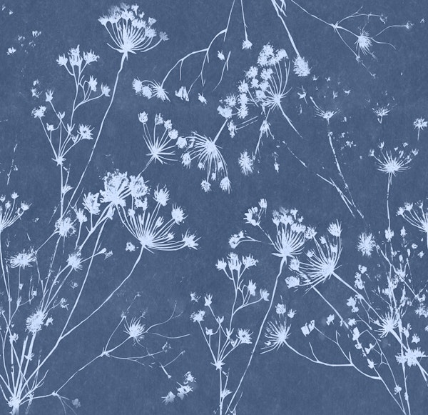Moody Japandi Flora