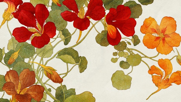 Autumn Blooms Artwork