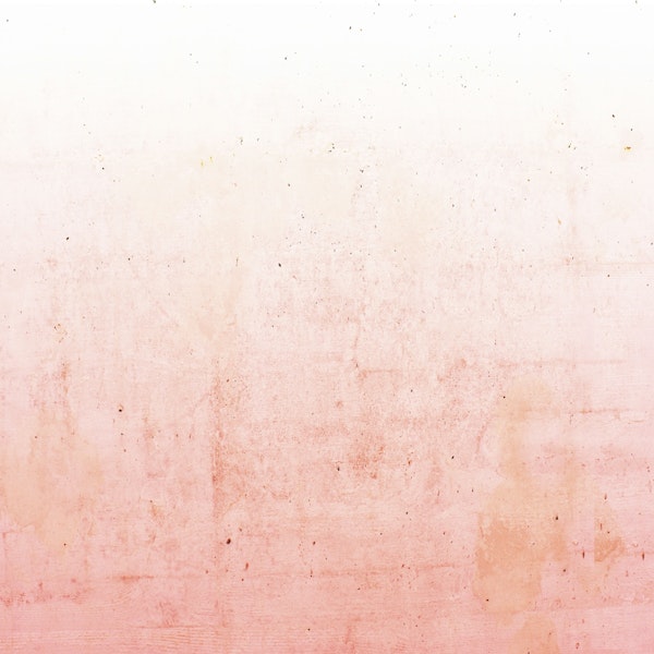 Pink Ombre on Concrete