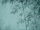 Gentle Bamboo Midnight Garden
