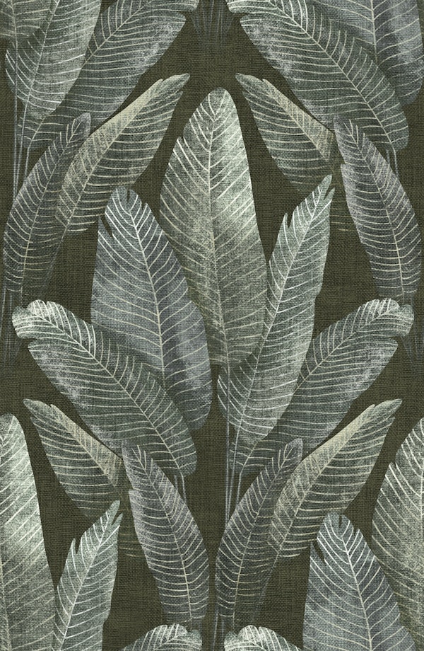 Elegant Rainforest Leaves