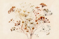 Botanical Essence carta da parati