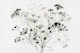 Monochrome Meadow