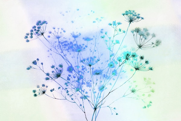 Serene Flora Whisper