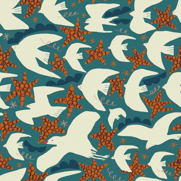 Coastal bird and Starfish