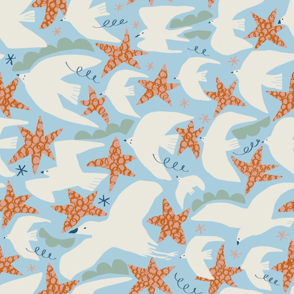 Seagull and Starfish