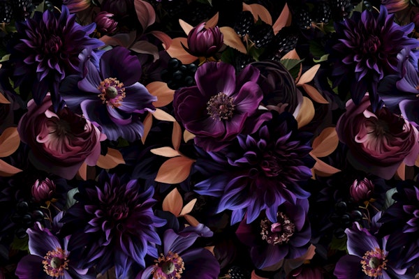 Ethereal Burgundy Night Blooms