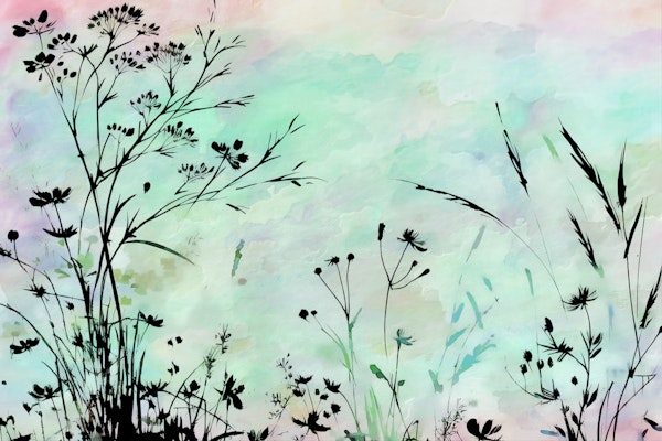 Turquoise Wildflowers