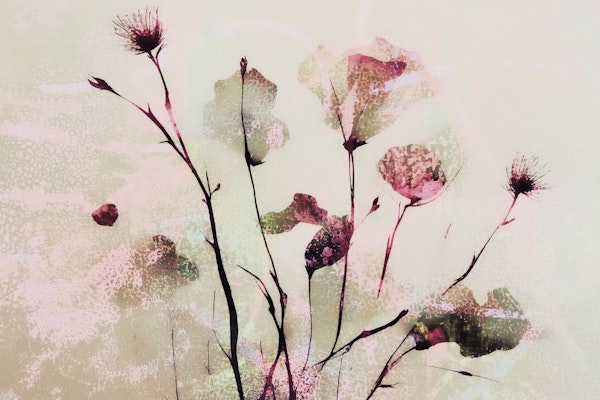 Aqua Wildflower Dream