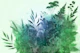 Ethereal Forest Hues