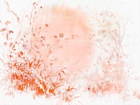 Autumn Blush Meadow tapetit