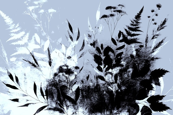 Monochrome Botanical Bliss