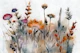 Autumn Meadow Blooms