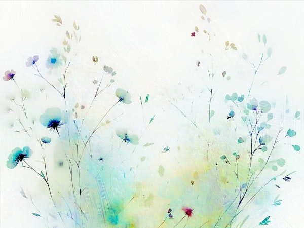 Pastel Wildflower Dream