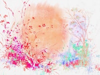Floral Watercolor Dream tapetit