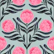 Protea Pink