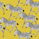 Zebra Walk 1