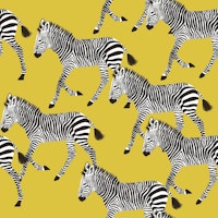 Zebra Walk 1 behang