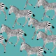 Zebra Walk 2 blue