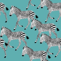 Zebra Walk 2 blue tapet
