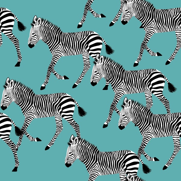 Zebra Walk 2 blue