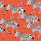 Zebra Walk 3