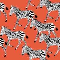 Zebra Walk 3 behang