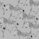 Zebra Walk 4