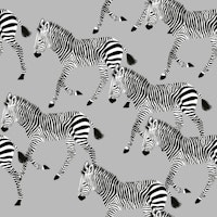 Zebra Walk 4 papel de parede