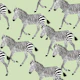 Zebra Walk 5 pastel green