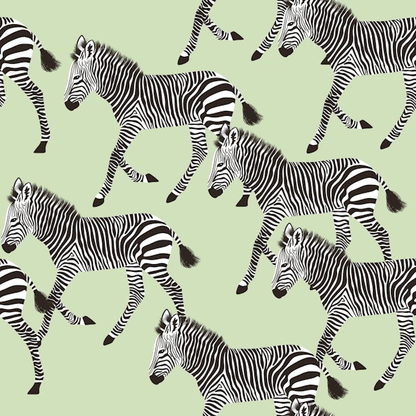Zebra Walk 5 pastel green