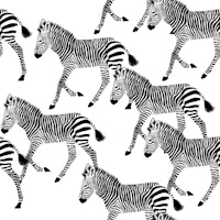 Zebra Walk 7 black and white papel de parede