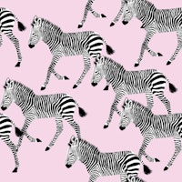 Zebra Walk 8 pink behang