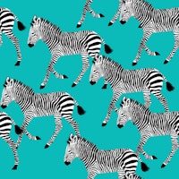 Zebra Walk 9 turquoise ταπετσαρία
