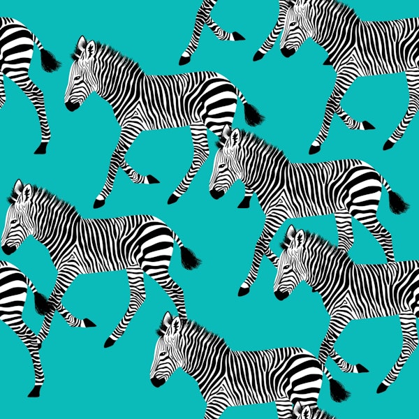 Zebra Walk 9 turquoise