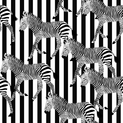 Pattern