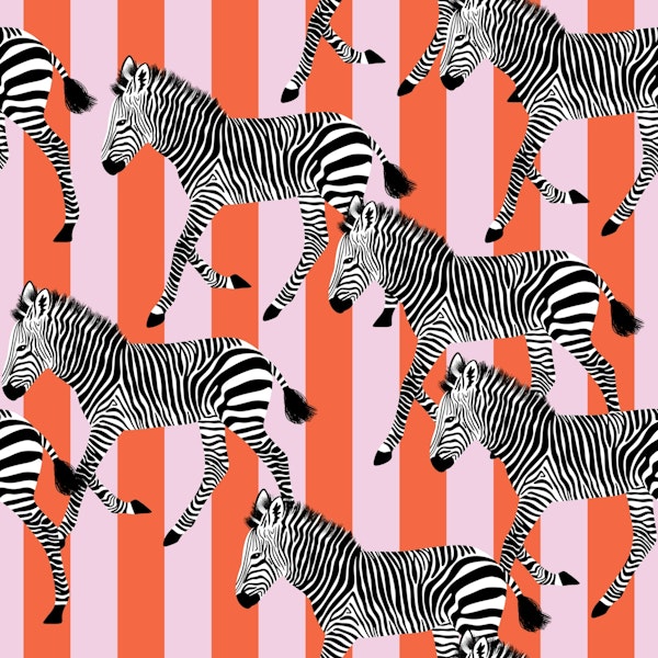 Zebra Walk 12 pink and orange stripes