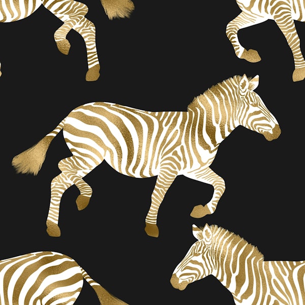 Zebra wallpaper 1