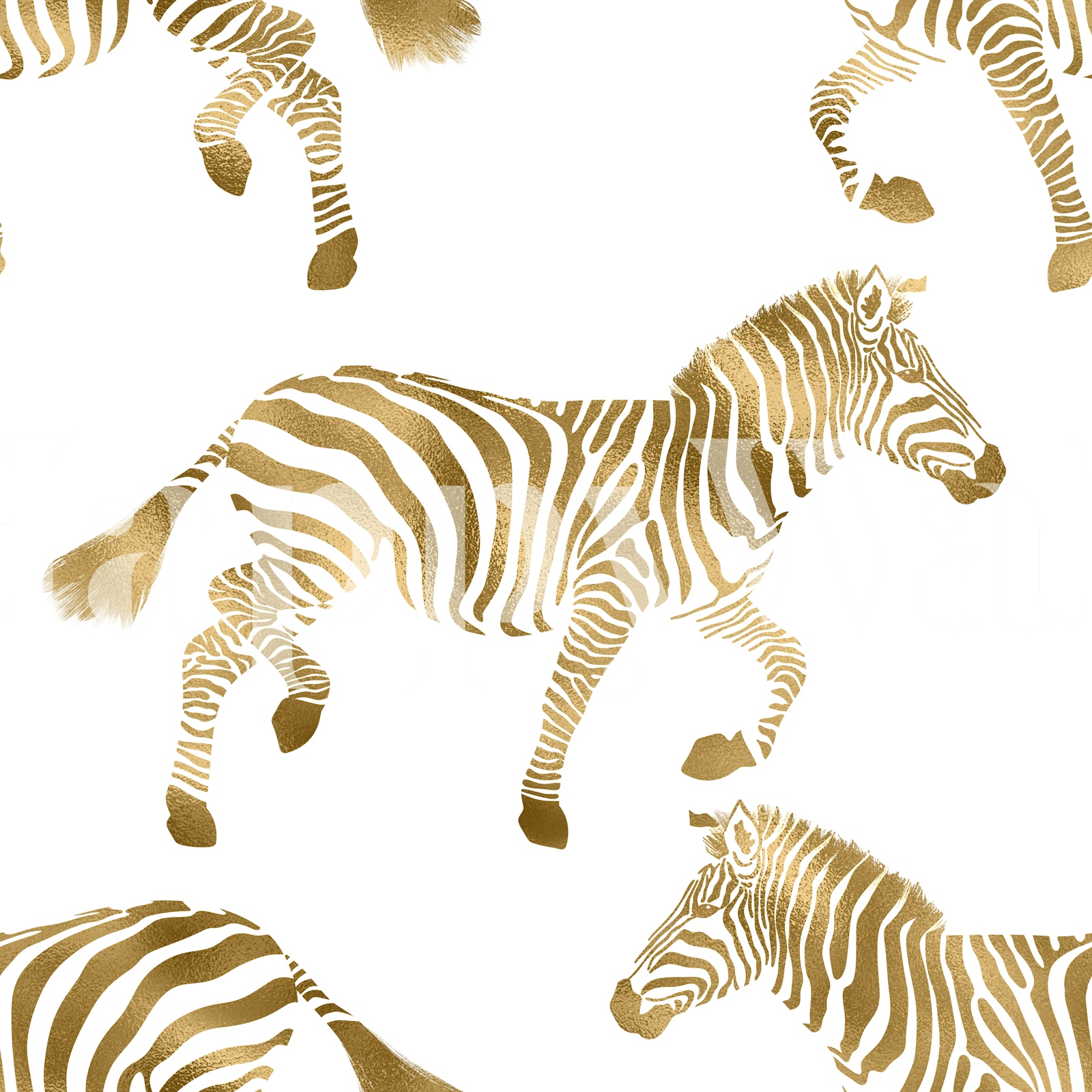 Zebra Wallpaper 2 - happywall.com