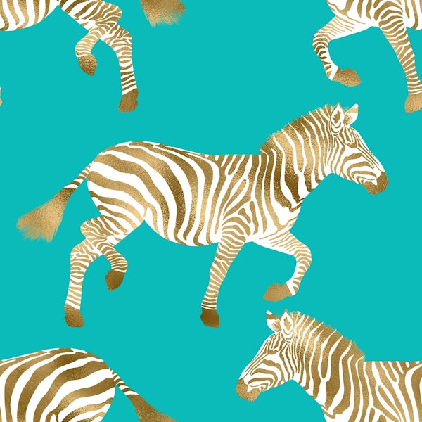 Zebra wallpaper 3