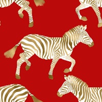 Zebra wallpaper 4 tapet